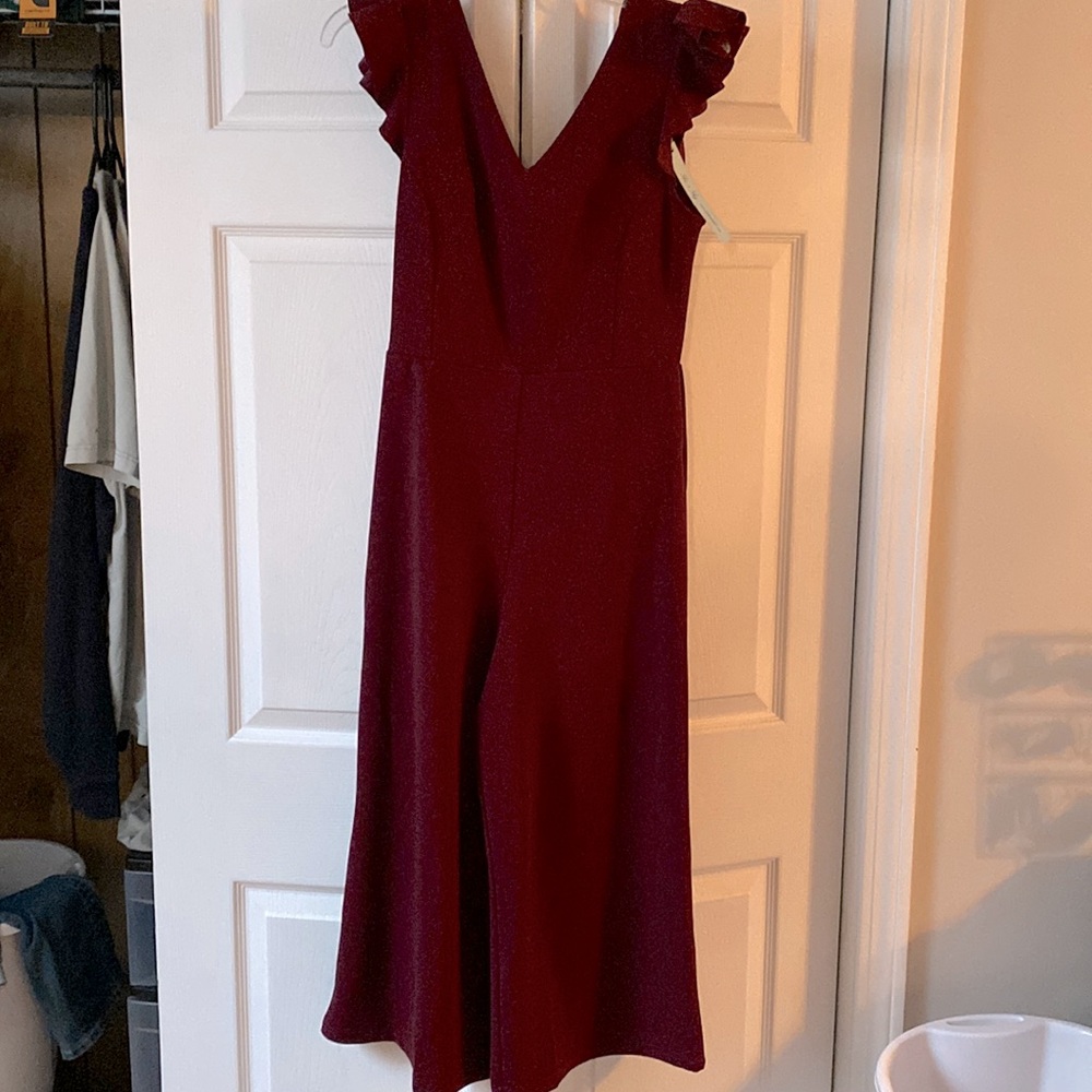 NWT jumpsuit! Super cute!